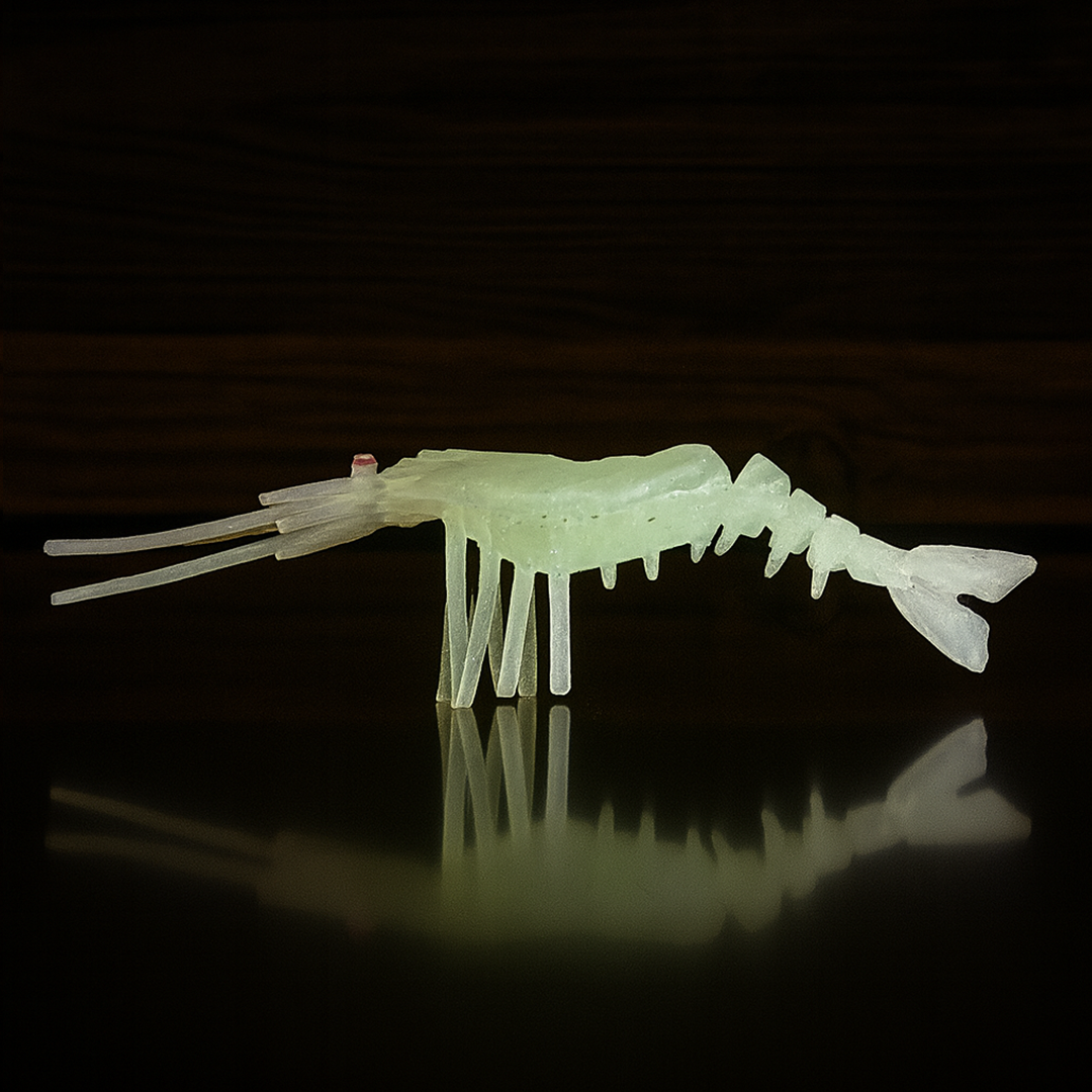 Shrimp aka "Crevette"