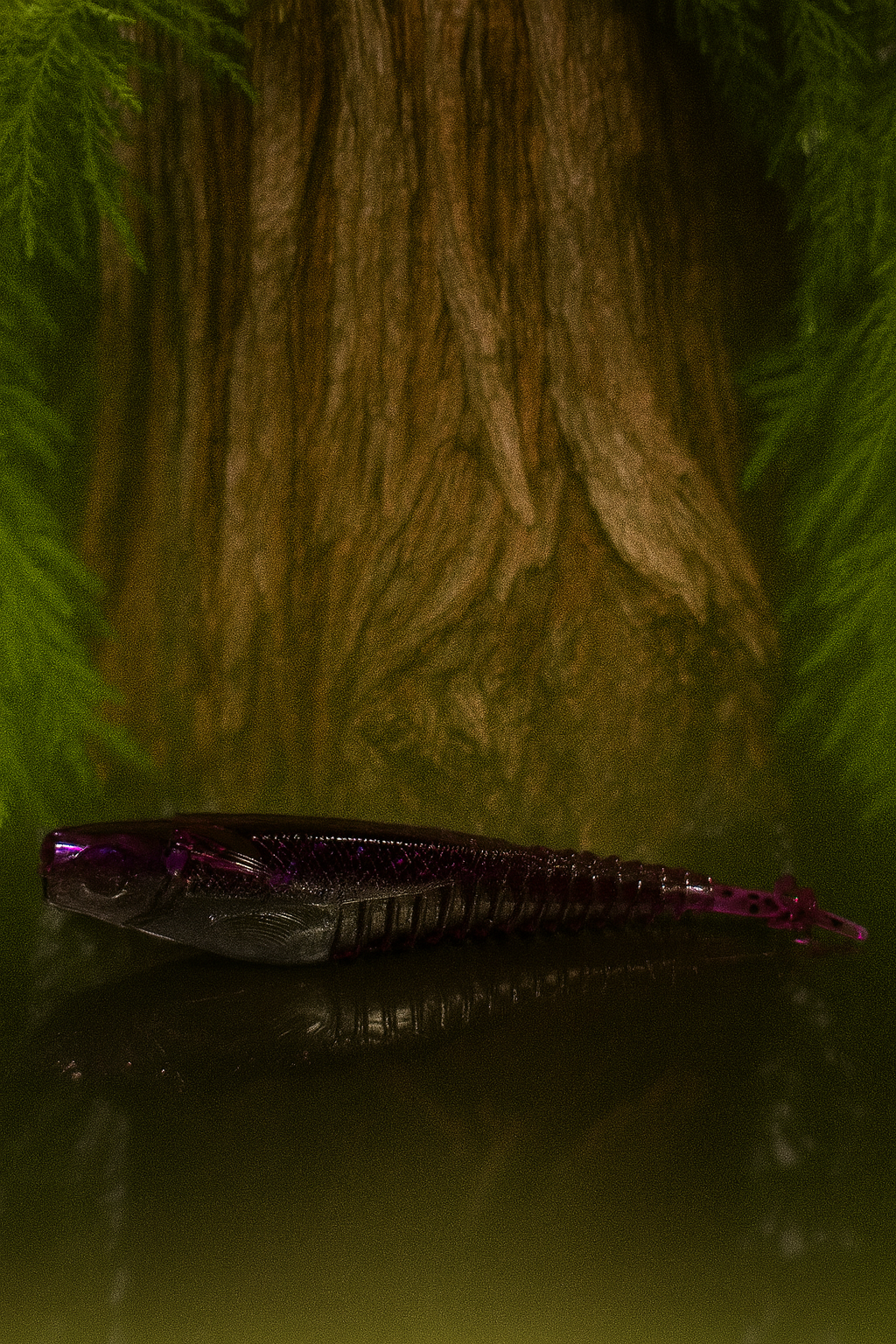 4.25" Winged Min'ner BFE Baits