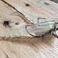 Craklin shrimp